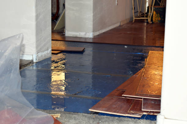 Professional Basement Water Removal technician working in Little Ferry, NJ